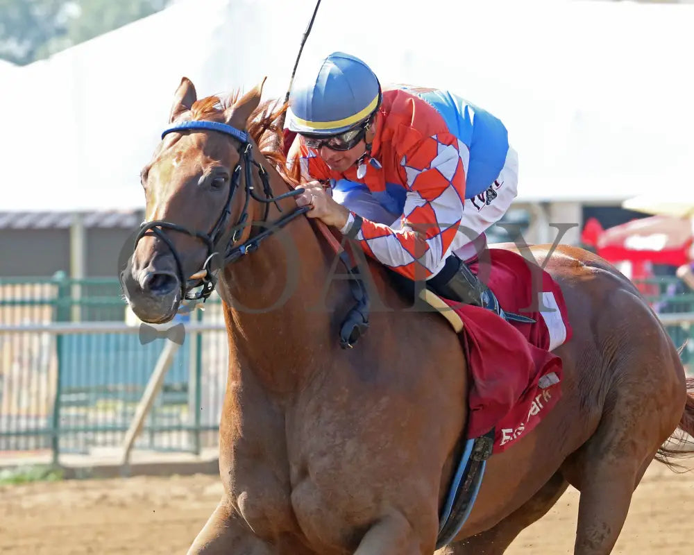 Wilbo - 072217 Race 08 Elp Inside Finish 1 Ellis Park