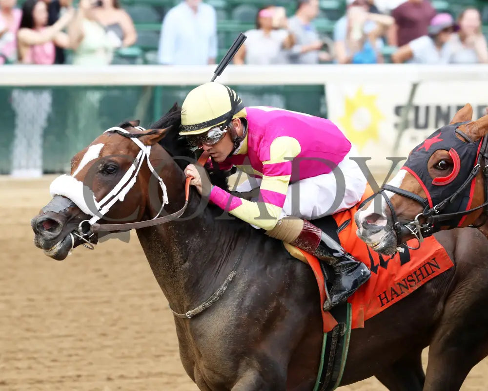 WILL TAKE IT - 062925 - Race 08 - CD - Inside Finish 01 Churchill Downs