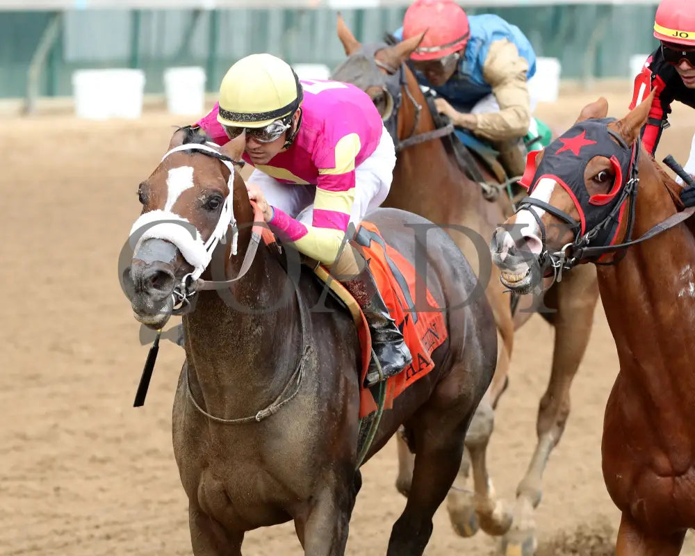 WILL TAKE IT - 062925 - Race 08 - CD - Inside Finish 03 Churchill Downs