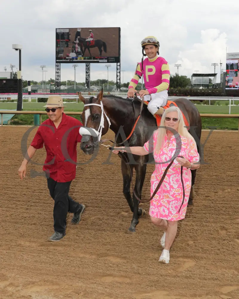 WILL TAKE IT - 062925 - Race 08 - CD - Walk In 01 Churchill Downs