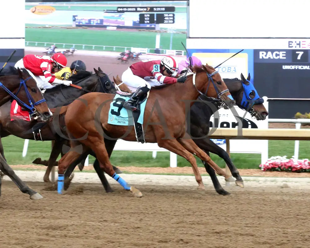 WIN ME OVER - The Brian Elmore Overnight Handicap - 04-15-25 - R07 - Horseshoe Indiana - Finish 01 - Sammantha Pagels
