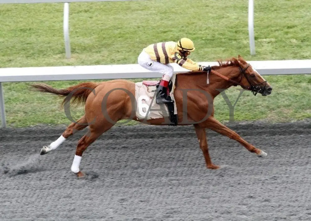 Wise Dan - 042212 Race 08 Aerial Keeneland