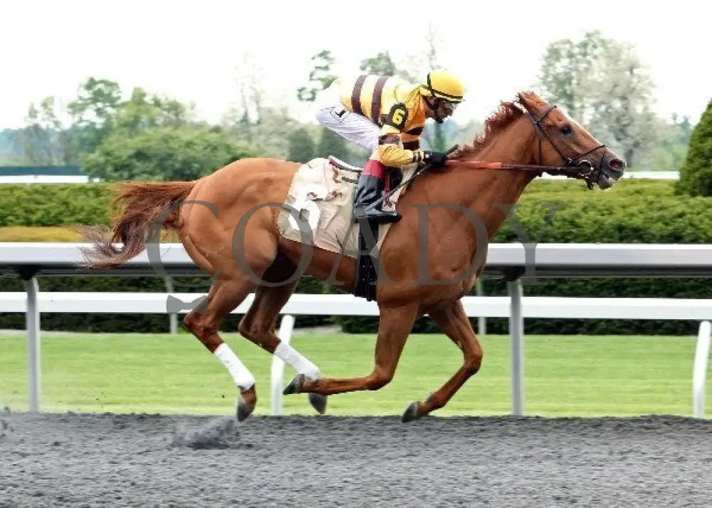 Wise Dan - 042212 Race 08 Fin Keeneland