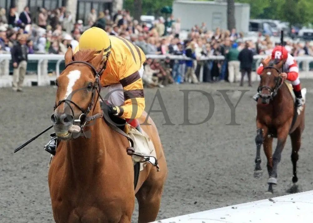 Wise Dan - 042212 Race 08 Inside Fin Keeneland