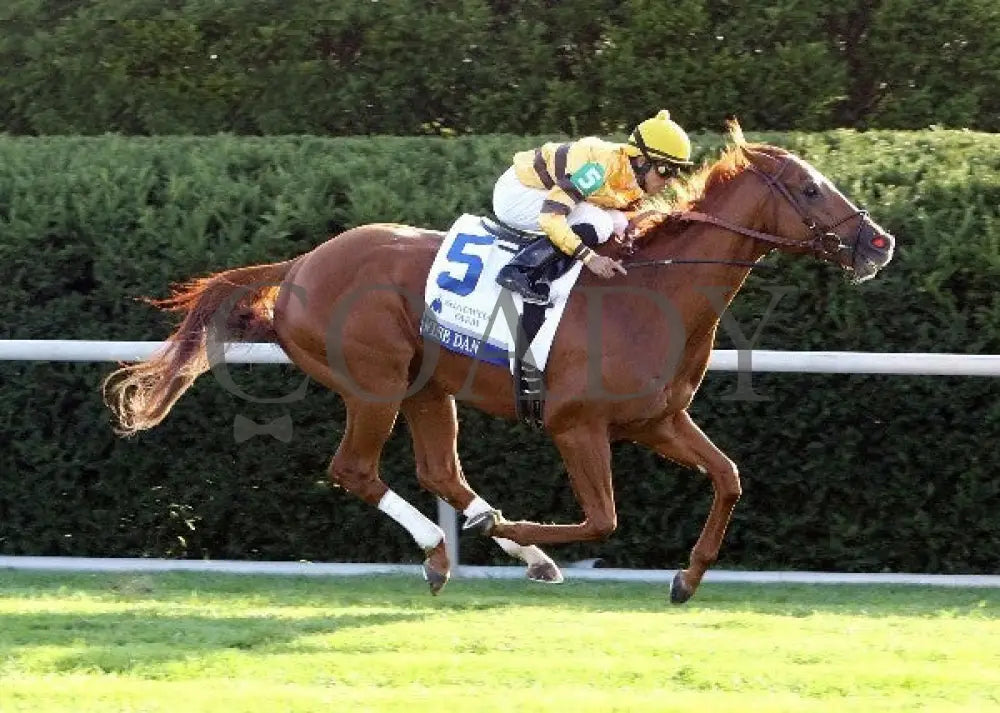 Wise Dan - 100612 Race 09 Finish Keeneland