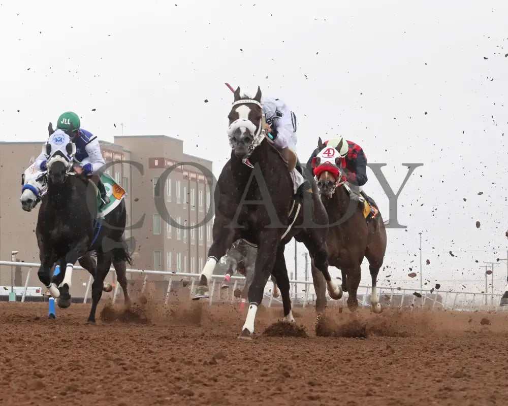 WOODY ROCKS - NMHBA Quarter Horse Stakes-32nd Running - 04-05-25 - R06 - Sunland Park - Under Rail Sunland Park