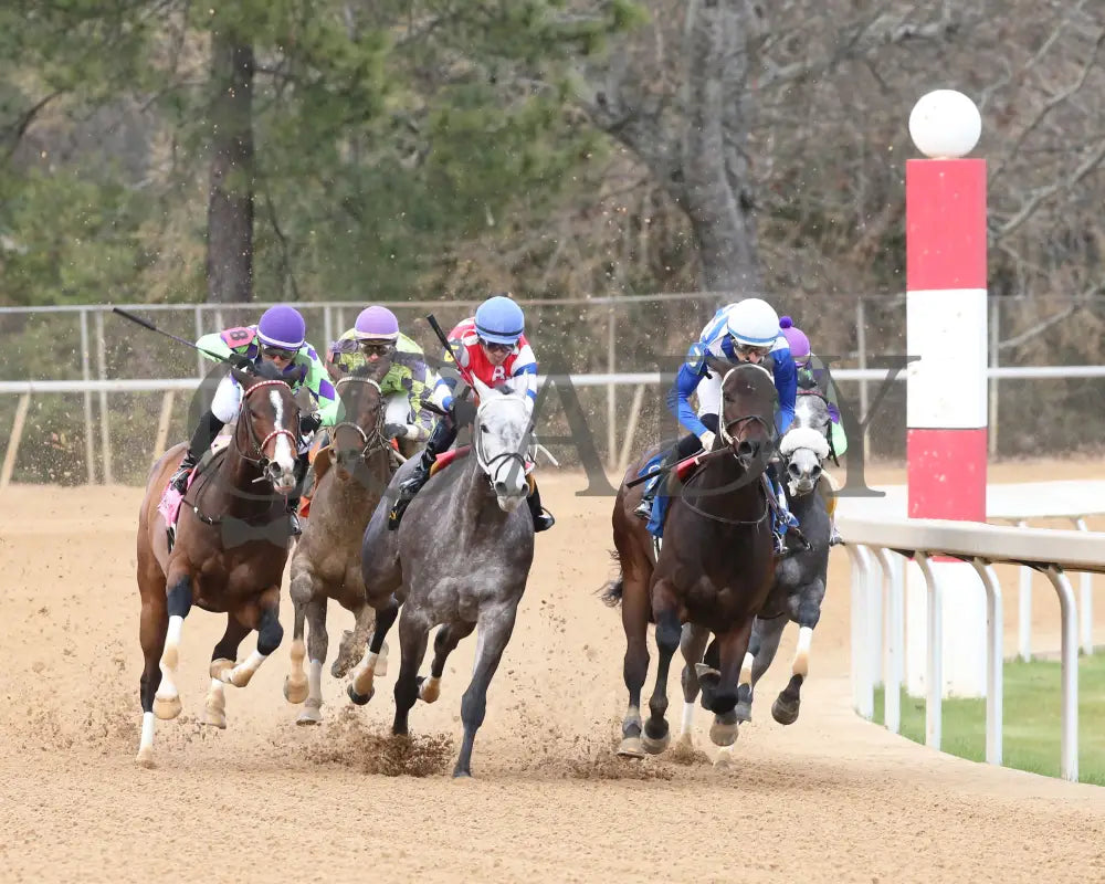Xtreme Diva - The Dixie Belle Stakes 46Th Running 02-17-24 R09 Op Turn 01 Oaklawn Park