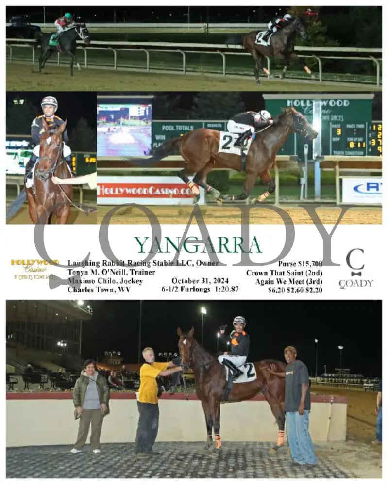Yangarra - 10-31-24 R03 Ct Hollywood Casino At Charles Town Races