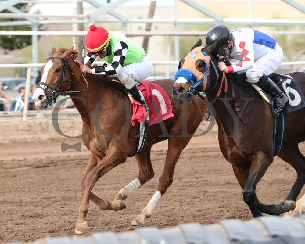 Yankee Dollar - Molly P Stakes 02-19-24 R07 Turf Paradise Inside Finish