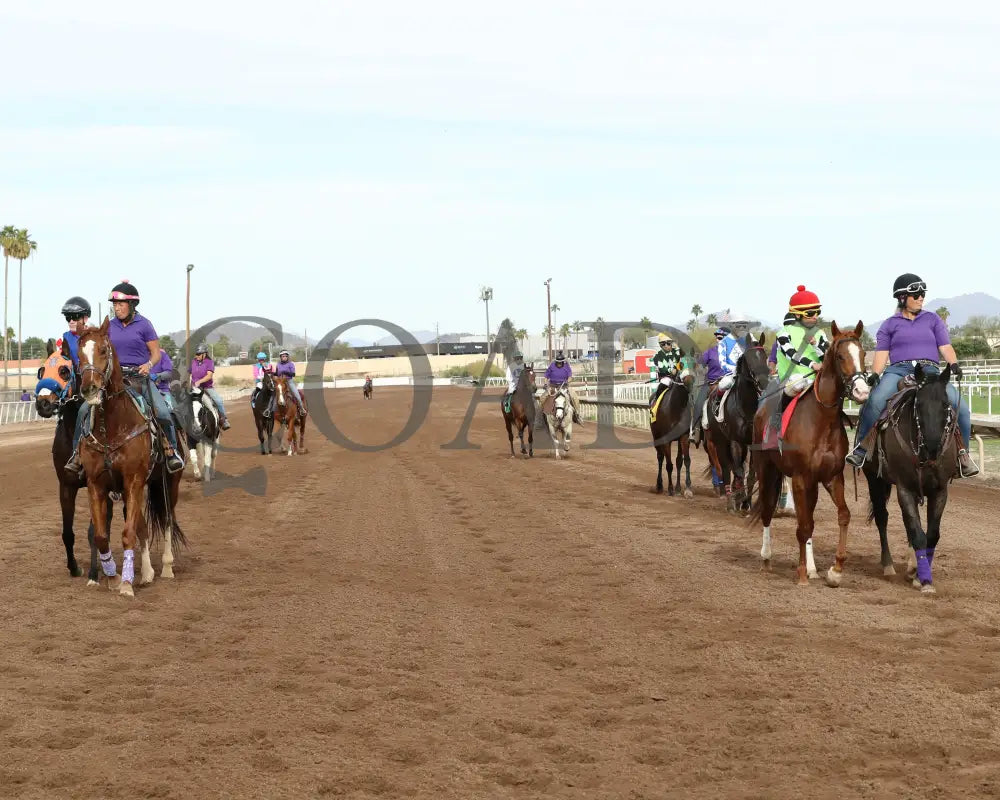 Yankee Dollar - Molly P Stakes 02-19-24 R07 Turf Paradise Post Parade 3