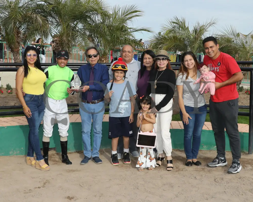 Yankee Dollar - Molly P Stakes 02-19-24 R07 Turf Paradise Presentation