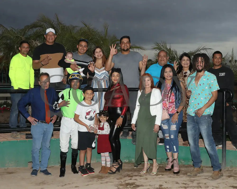 Yankee Dollar - Queen Of The Green 03 - 14 - 24 R09 Turf Paradise Presentation