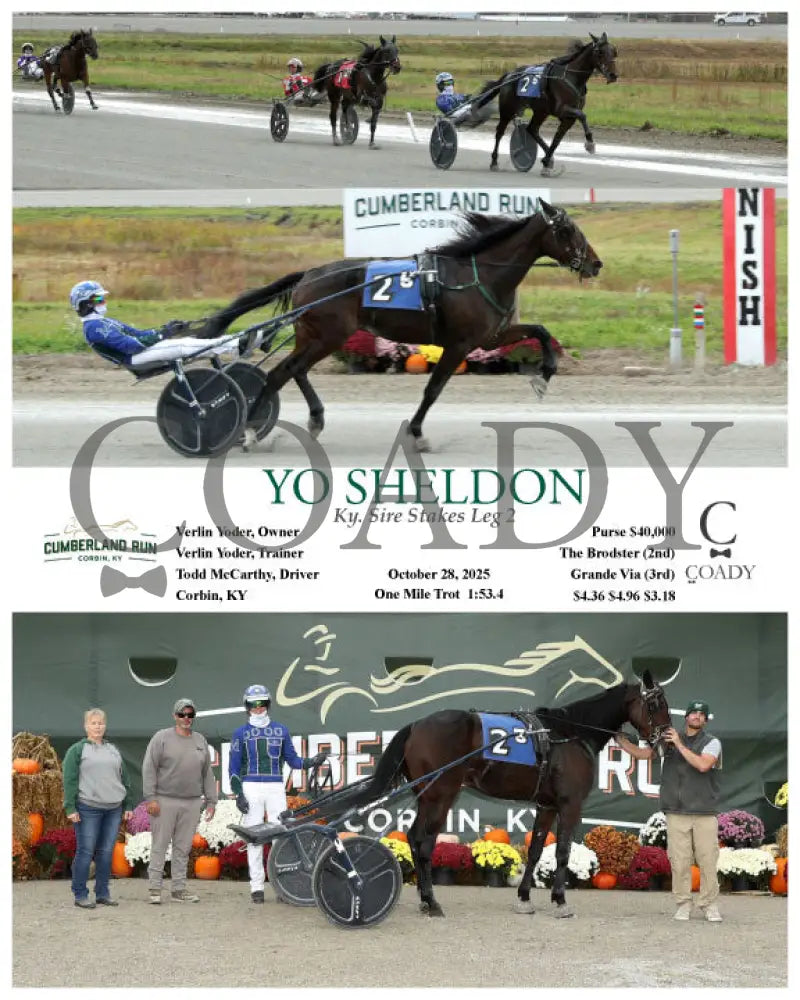 YO SHELDON - 102825 - Race 05 - CMR Presque Isle Downs