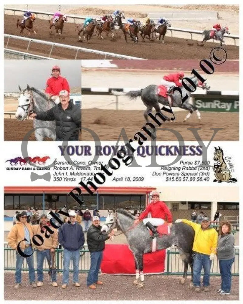Your Royal Quickness - 4 17 2009 Sunray Park