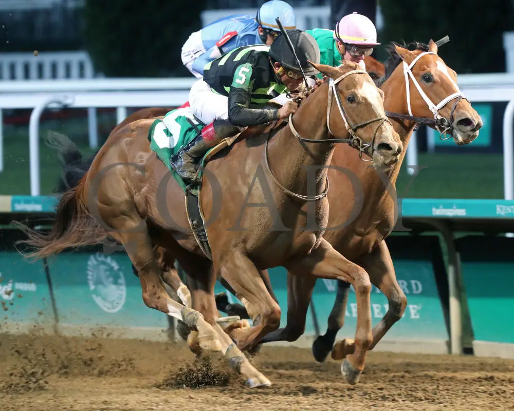 Zeitlos - The Roxelana Overnight Stakes 14Th Running 04-27-24 R09 Cd Finish 02 Churchill Downs