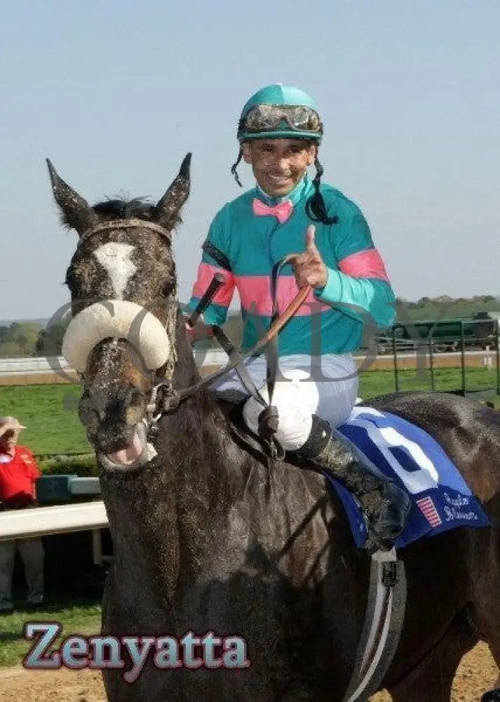 Zenyatta - The Apple Blossom Handicap Oaklawn Park