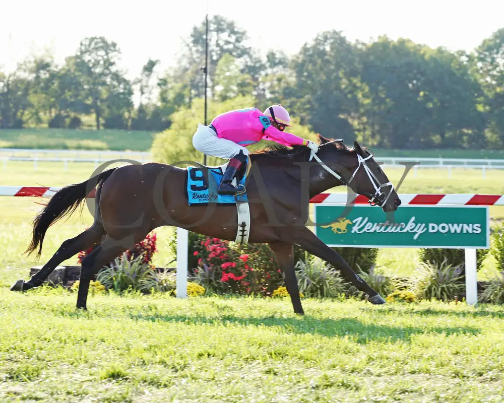 Zulu Alpha - Calumet Farm Kentucky Turf Cup G3 28Th Running 09-07-19 R10 Kd Finish 01 Downs