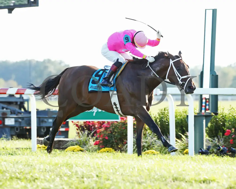 Zulu Alpha - Calumet Farm Kentucky Turf Cup G3 28Th Running 09-07-19 R10 Kd Finish 03 Downs