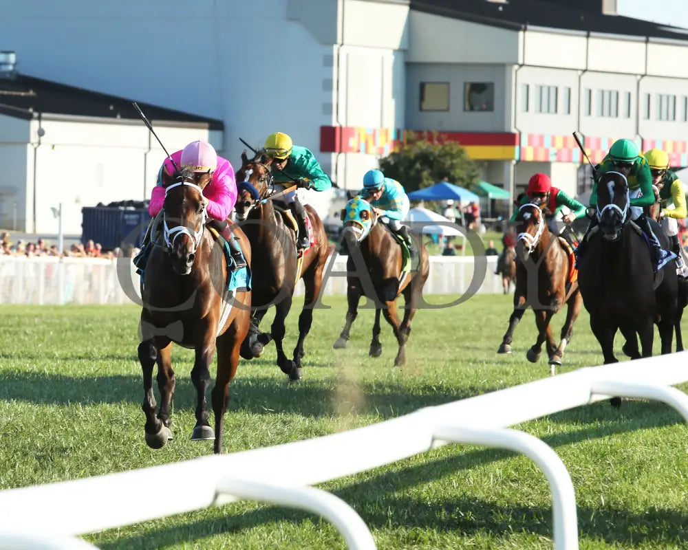 Zulu Alpha - Calumet Farm Kentucky Turf Cup G3 28Th Running 09-07-19 R10 Kd Inside Finish 01 Downs