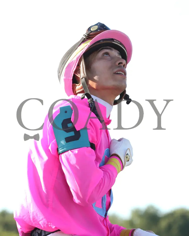 Zulu Alpha - Calumet Farm Kentucky Turf Cup G3 28Th Running 09-07-19 R10 Kd Jose Ortiz 01 Downs