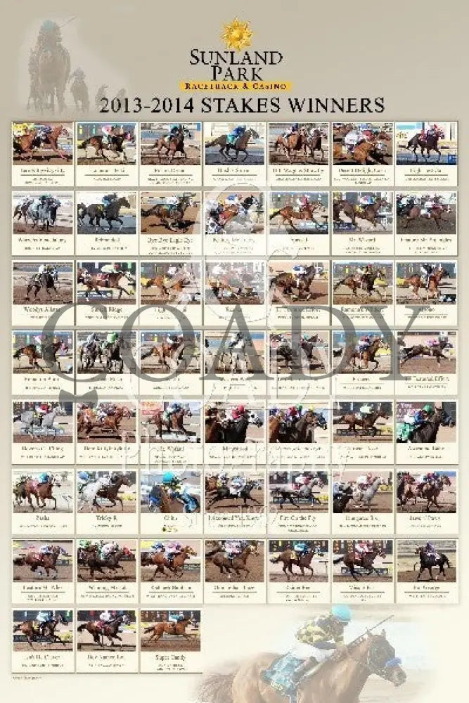 01-03-25 - R01 Sun 24X36 Commemorative Items