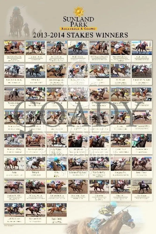 01-03-25 - R01 Sun 24X36 Commemorative Items