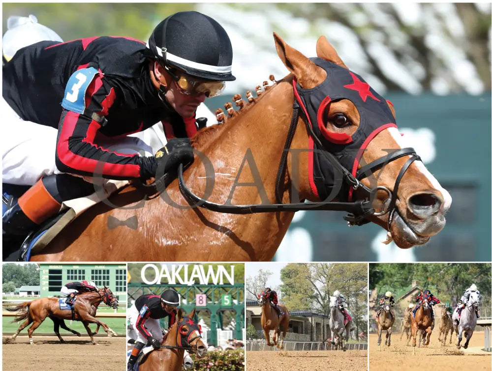 2026 - Horse Racing Calendar Book