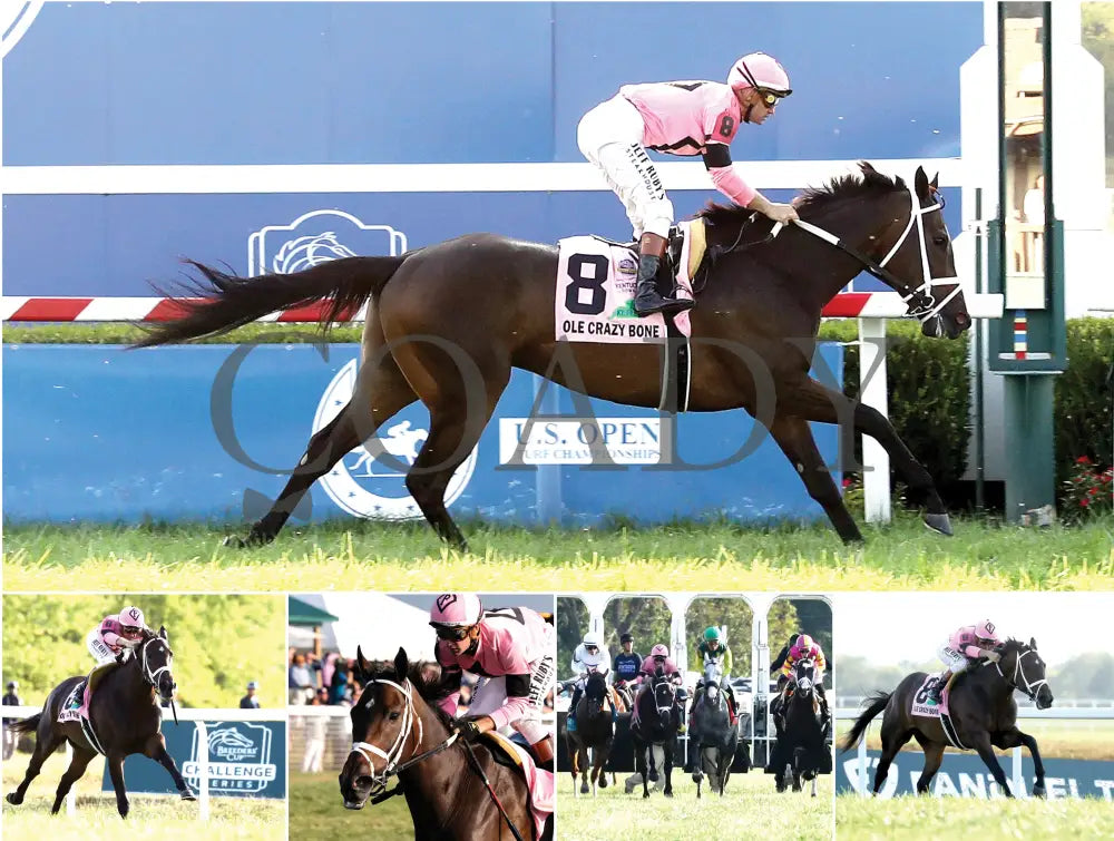 2026 - Horse Racing Calendar Book