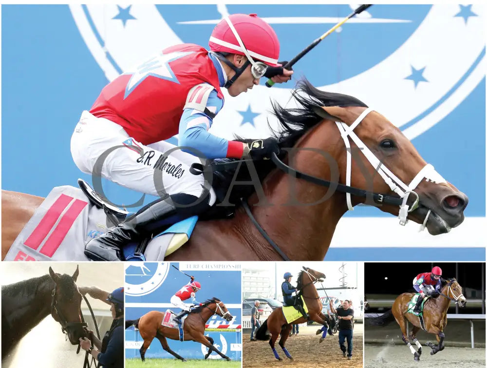 2026 - Horse Racing Calendar Book