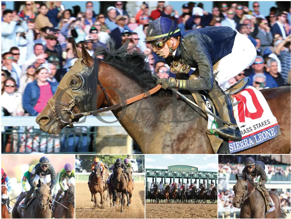 2026 - Horse Racing Calendar Book