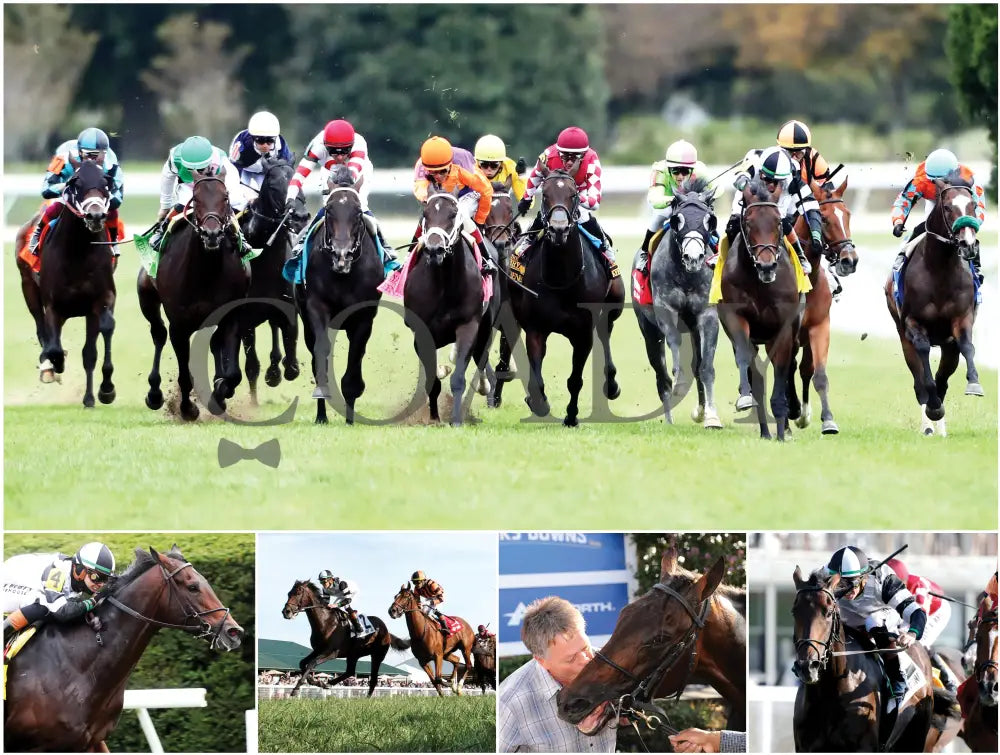 2026 - Horse Racing Calendar Book