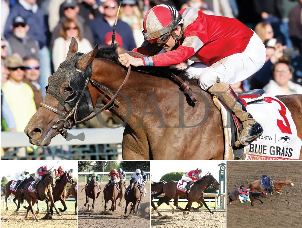 2026 - Horse Racing Calendar Book