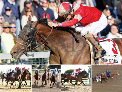 2026 - Horse Racing Calendar Book