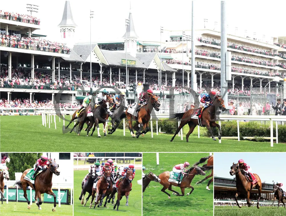 2026 - Horse Racing Calendar Book