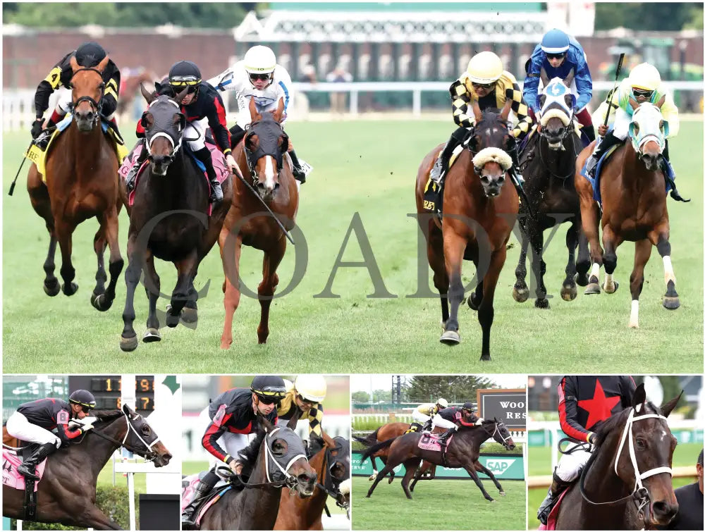 2026 - Horse Racing Calendar Book