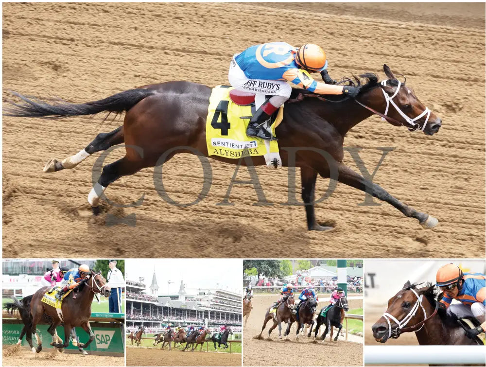 2026 - Horse Racing Calendar Book