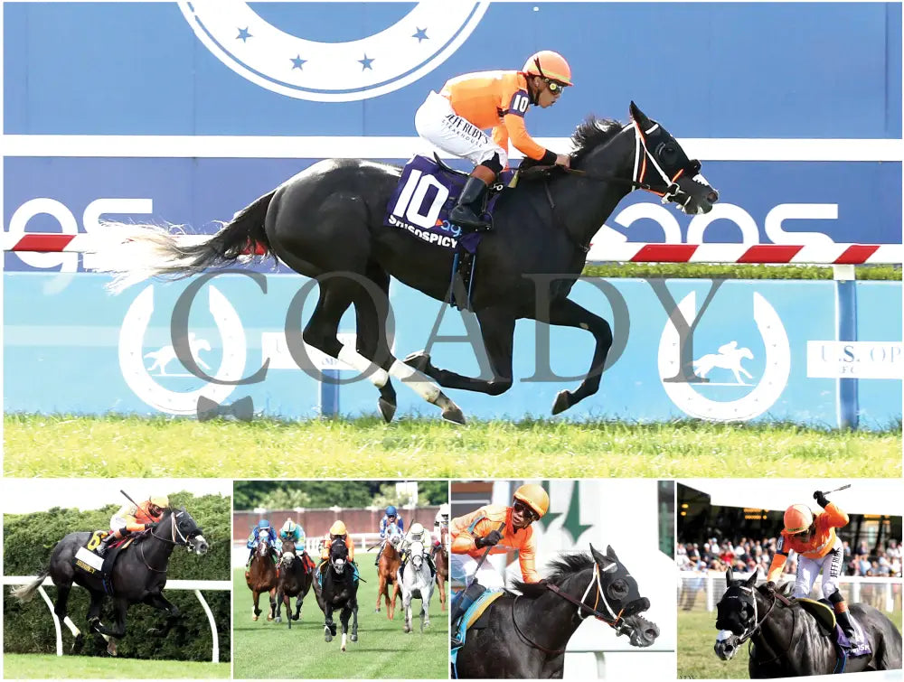 2026 - Horse Racing Calendar Book