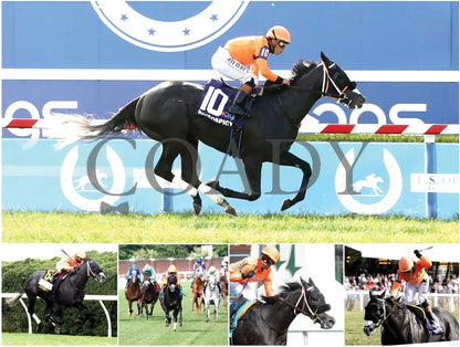 2026 - Horse Racing Calendar Book