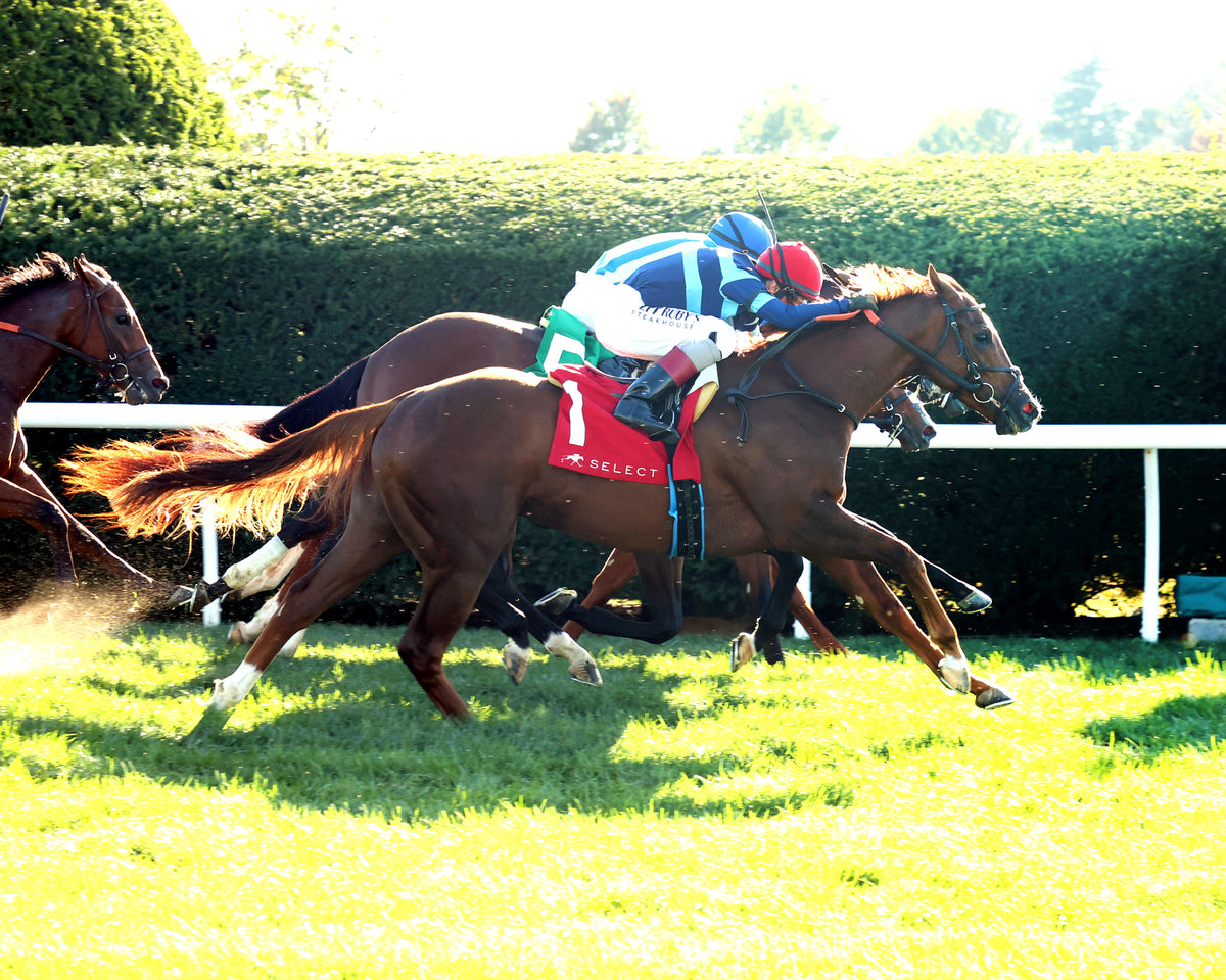ADONIUS - 100426 - Race 08 - KEE  The Indian Summer G3 - Finish 01