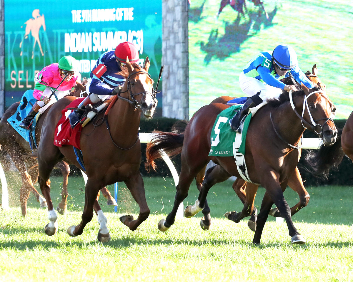 ADONIUS - 100426 - Race 08 - KEE  The Indian Summer G3 - Finish 02