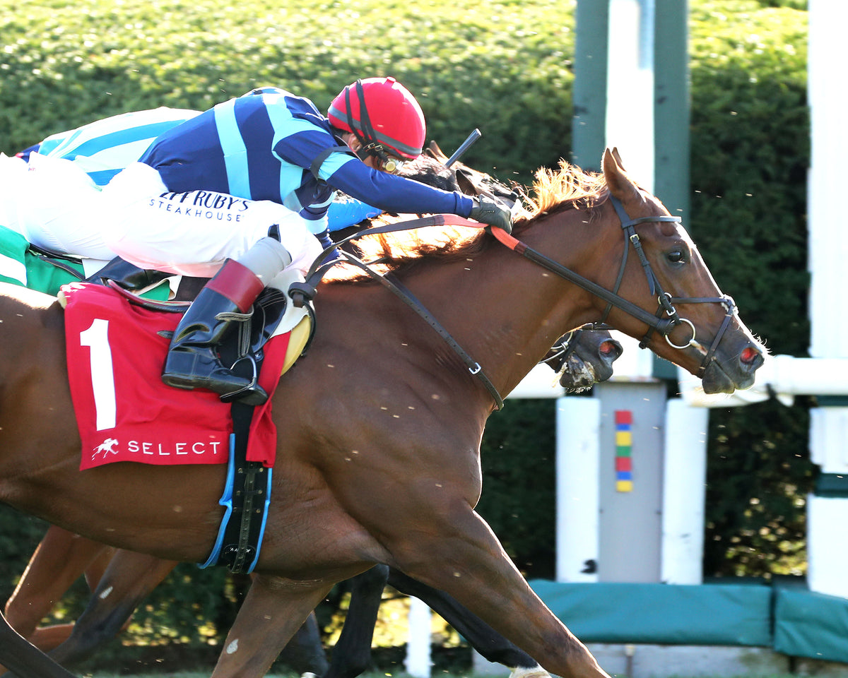 ADONIUS - 100426 - Race 08 - KEE  The Indian Summer G3 - Finish 03