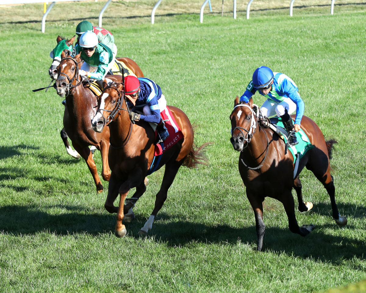 ADONIUS - 100426 - Race 08 - KEE  The Indian Summer G3 - Inside Finish 02