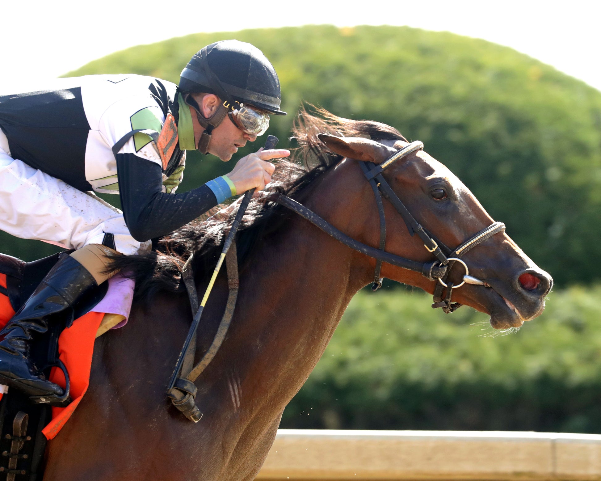 A FINE CHARDONNAY - 040326 - Race 07 - KEE  The MiddleGround Capital Beaumont G2 - 41st Running - Finish 03 - Coady Media - Kurtis Coady Photography