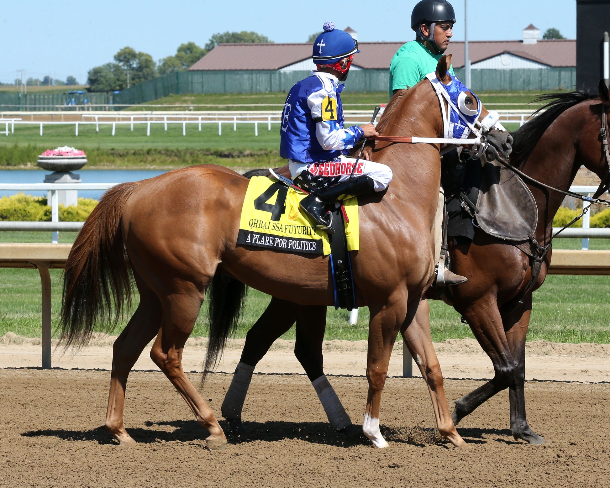 A FLARE FOR POLITICS - QHRAI Stallion Service Auction Futurity Finals - G3 - 08-30-25 - R10 - Horseshoe Indiana - Post Parade 01 - Sammantha Pagels - Coady Media - Kurtis Coady Photography