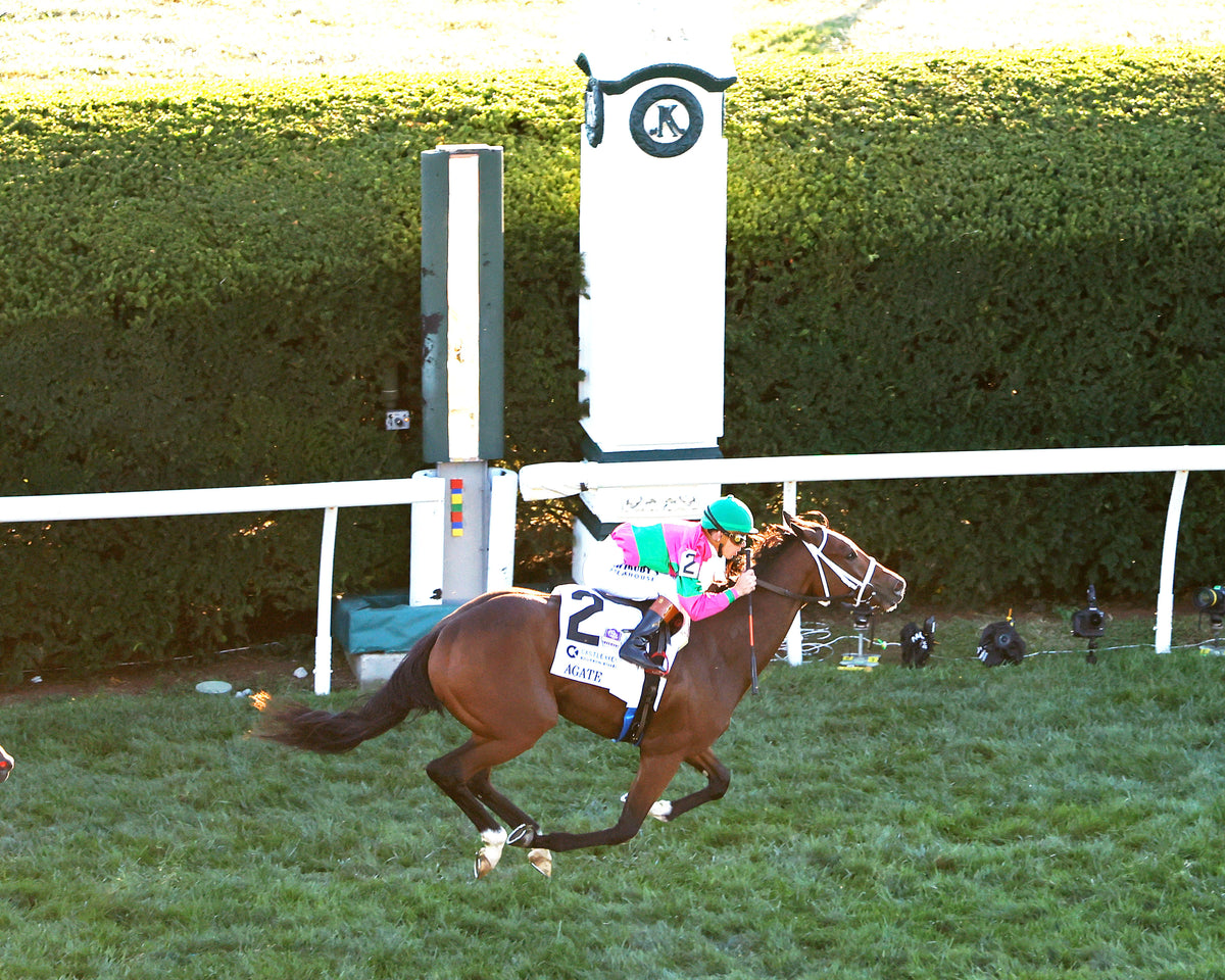 AGATE - 100426 - Race 10 - KEE  The Castle & Key Bourbon G2 - Aerial Finish 01