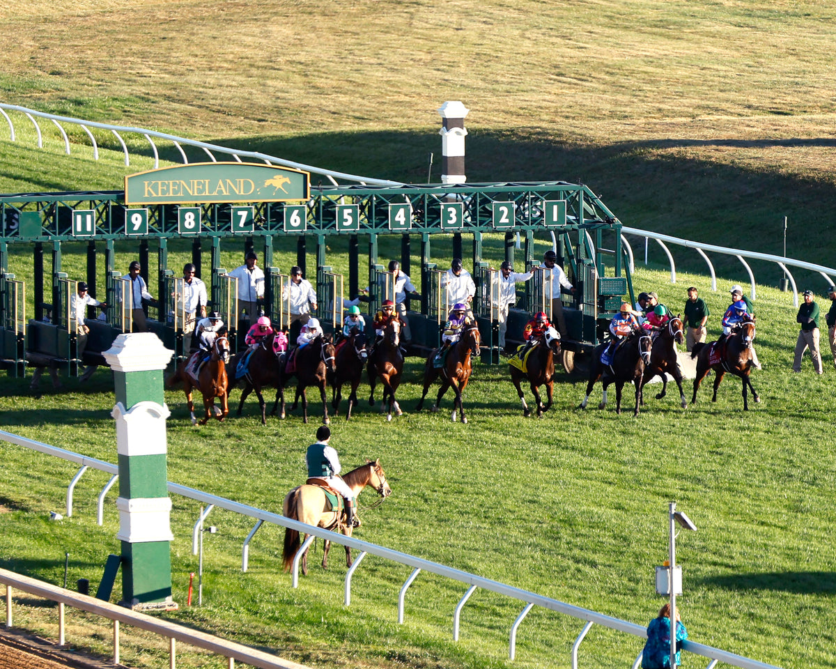 AGATE - 100426 - Race 10 - KEE  The Castle & Key Bourbon G2 - Aerial Start 01