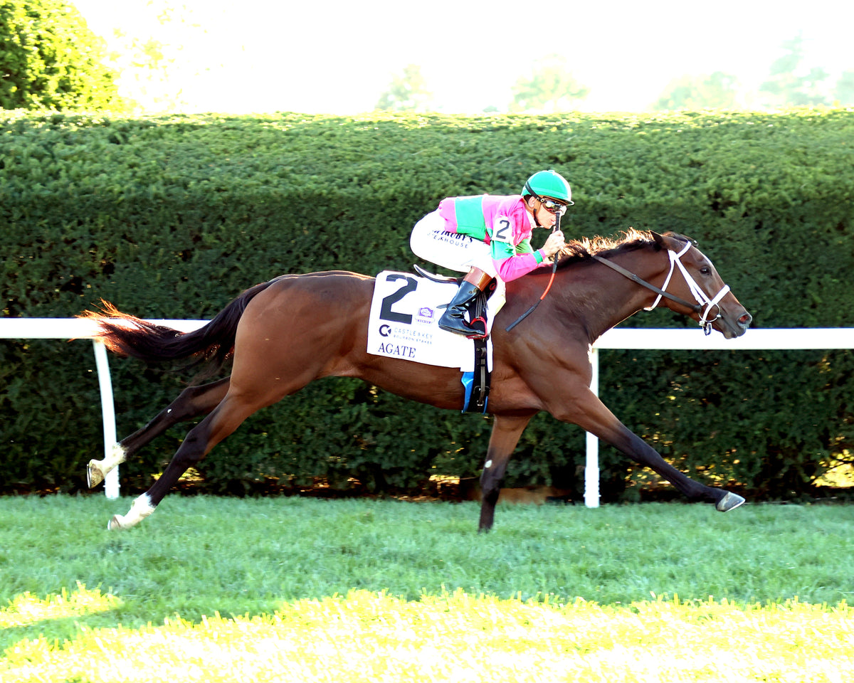 AGATE - 100426 - Race 10 - KEE  The Castle & Key Bourbon G2 - Finish 01