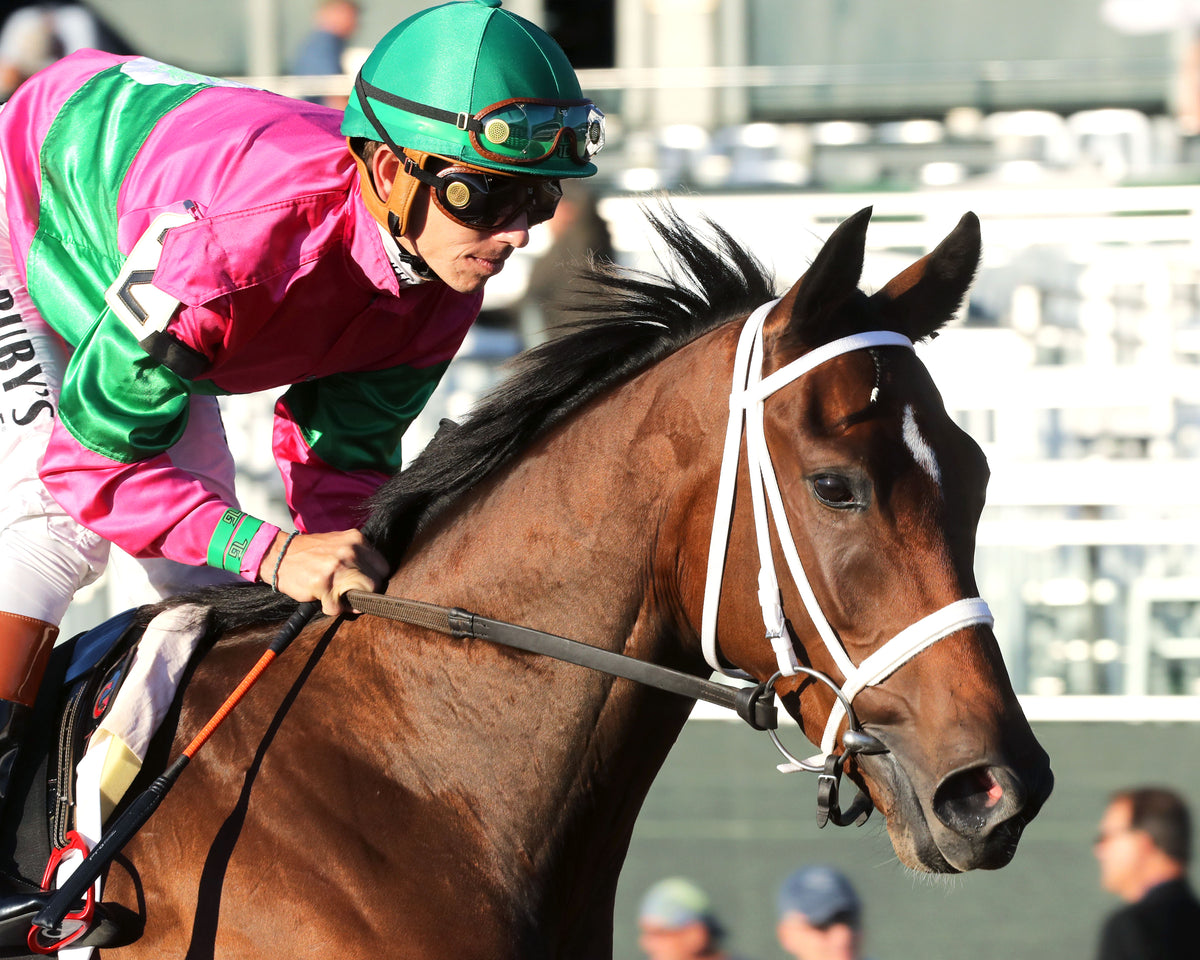 AGATE - 100426 - Race 10 - KEE  The Castle & Key Bourbon G2 - Post Parade 01
