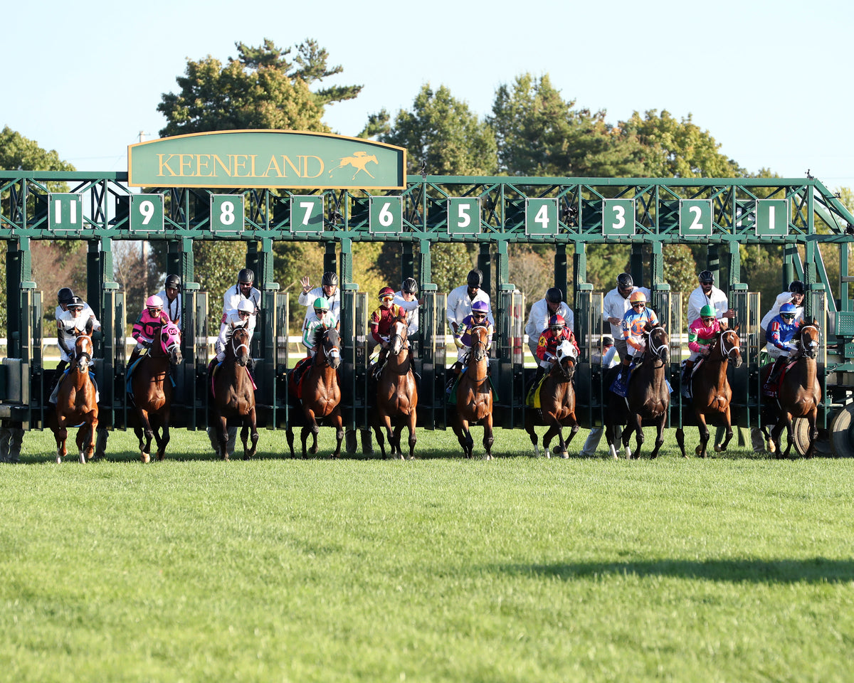 AGATE - 100426 - Race 10 - KEE  The Castle & Key Bourbon G2 - Start 01