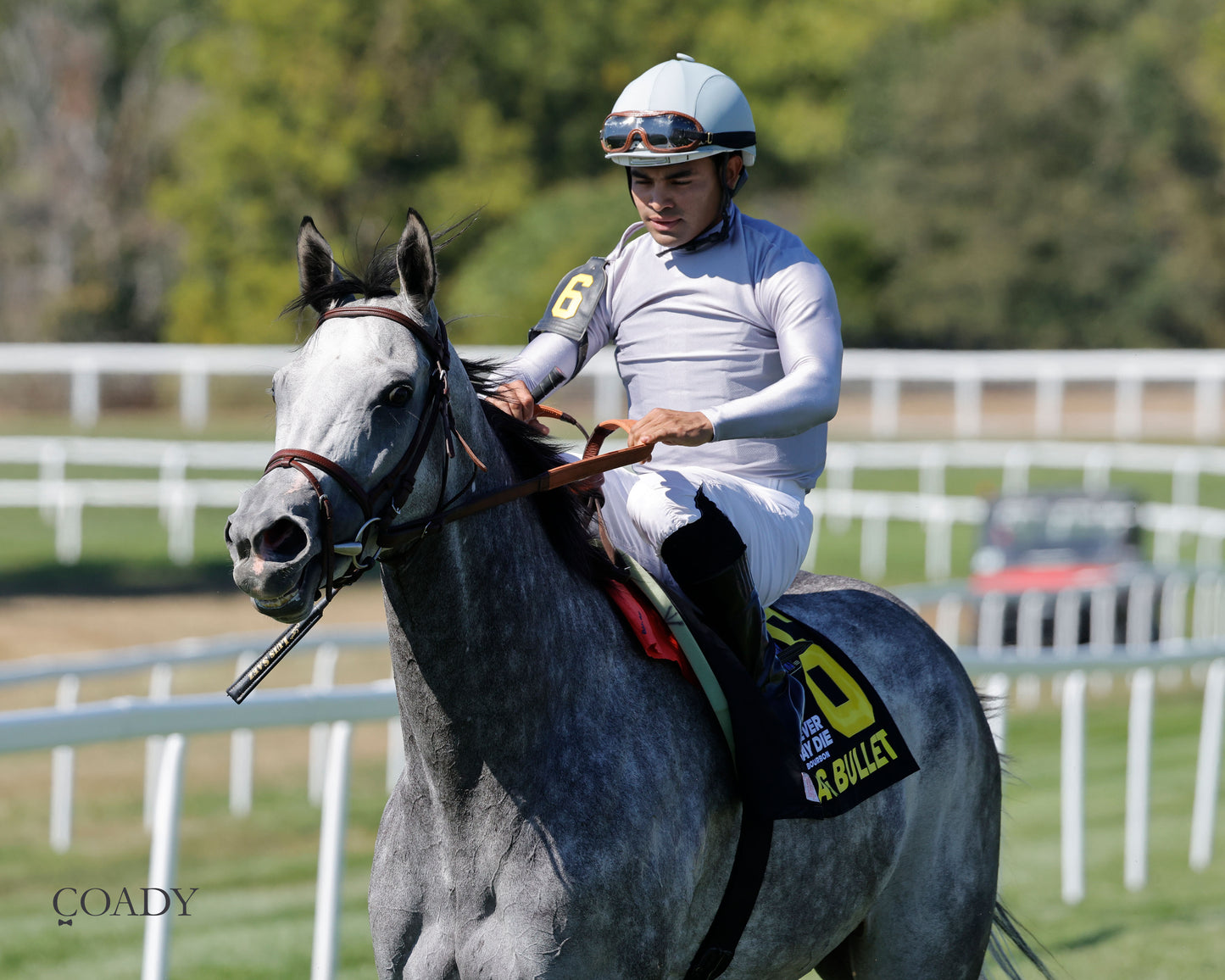 AG BULLET - Never Say Die Ladies Turf Sprint Stakes - G2 - 08-30-25 - R08 - KD - Come Back 01 - Coady Media - Kurtis Coady Photography